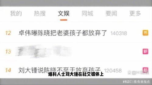 刘大锤爆料女星视频大全,女星视频大全揭秘娱乐圈幕后真相